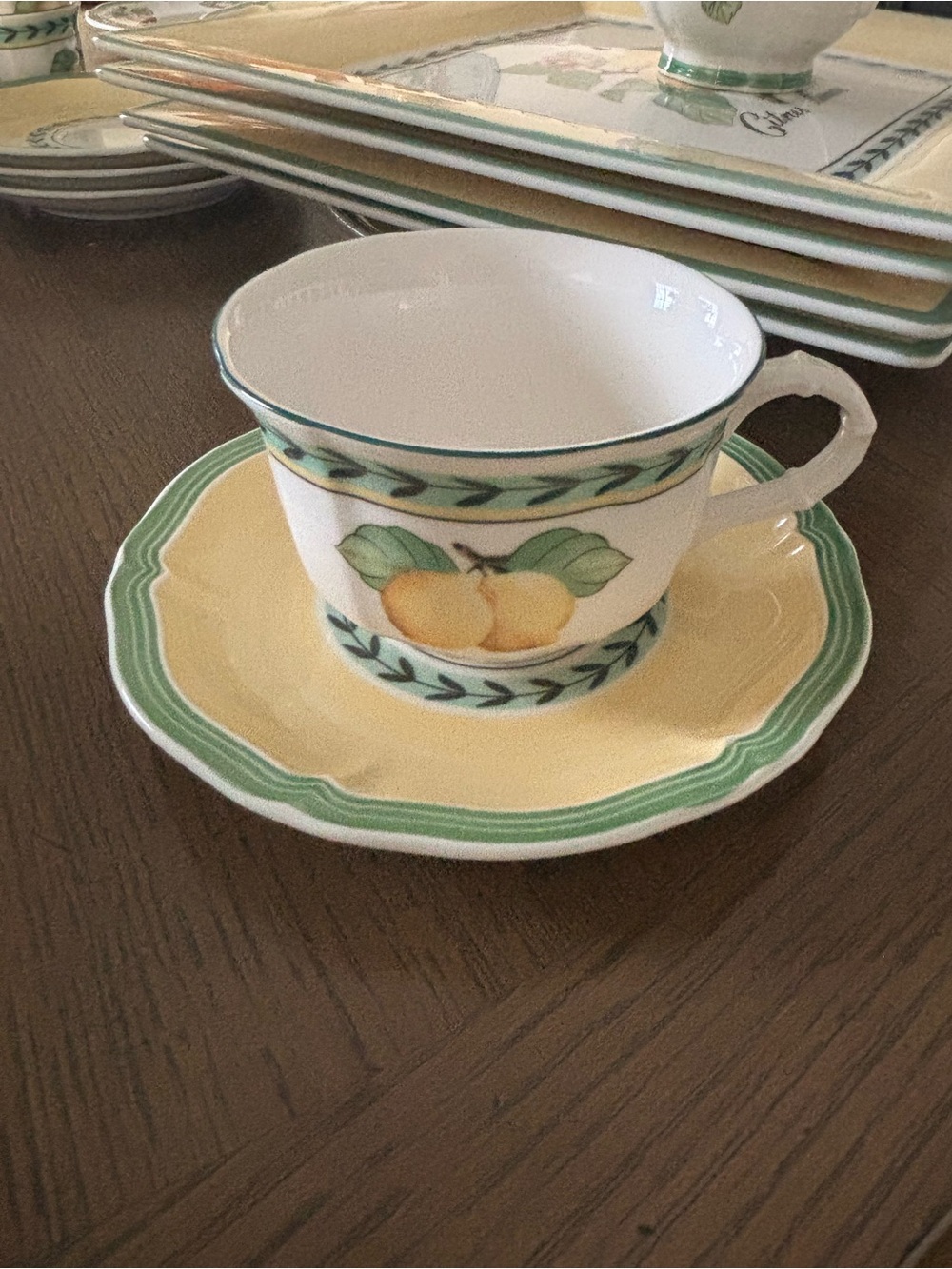 Villeroy & Boch French Garden Tea Cup with Saucer - new